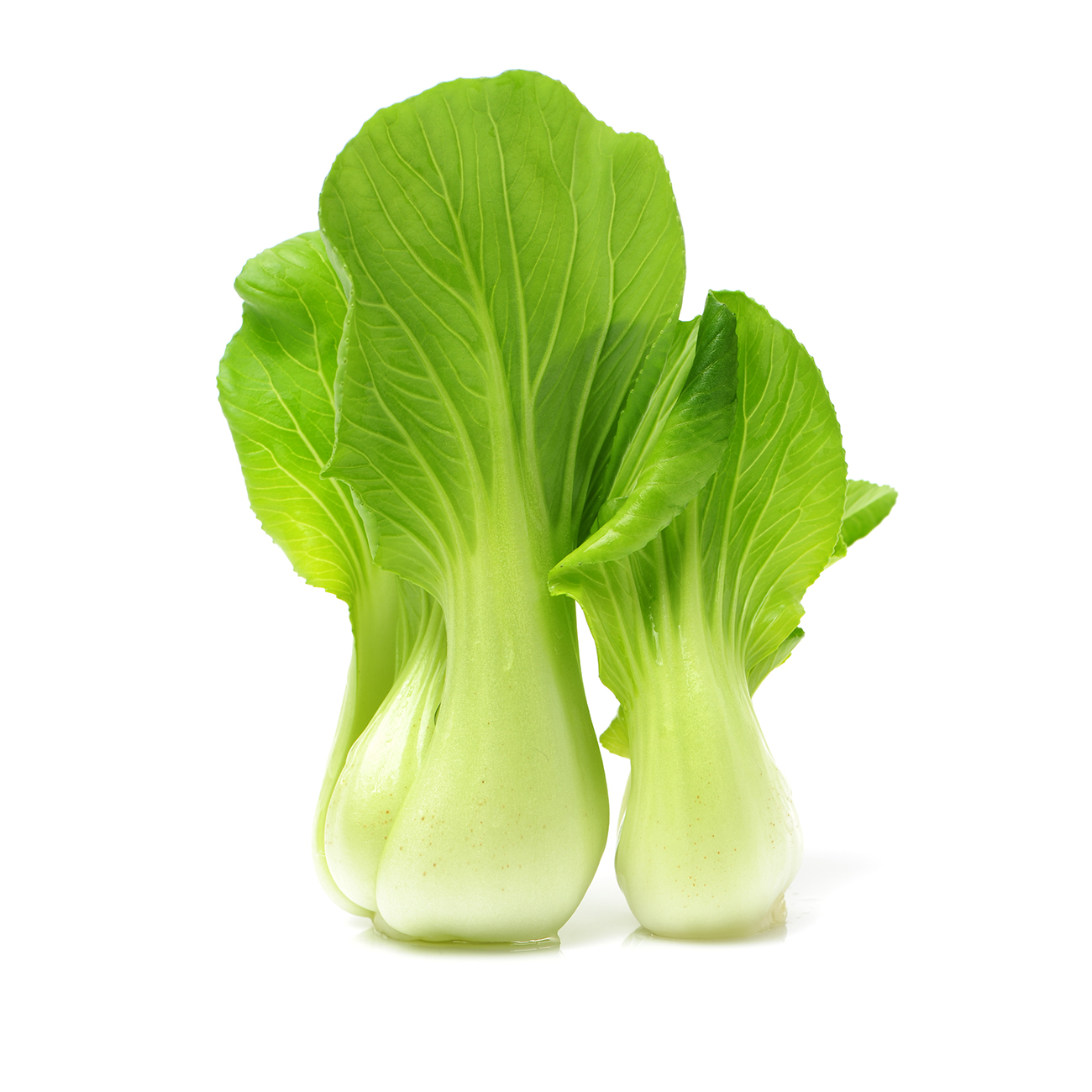 Savoy Cabbage Veggycation