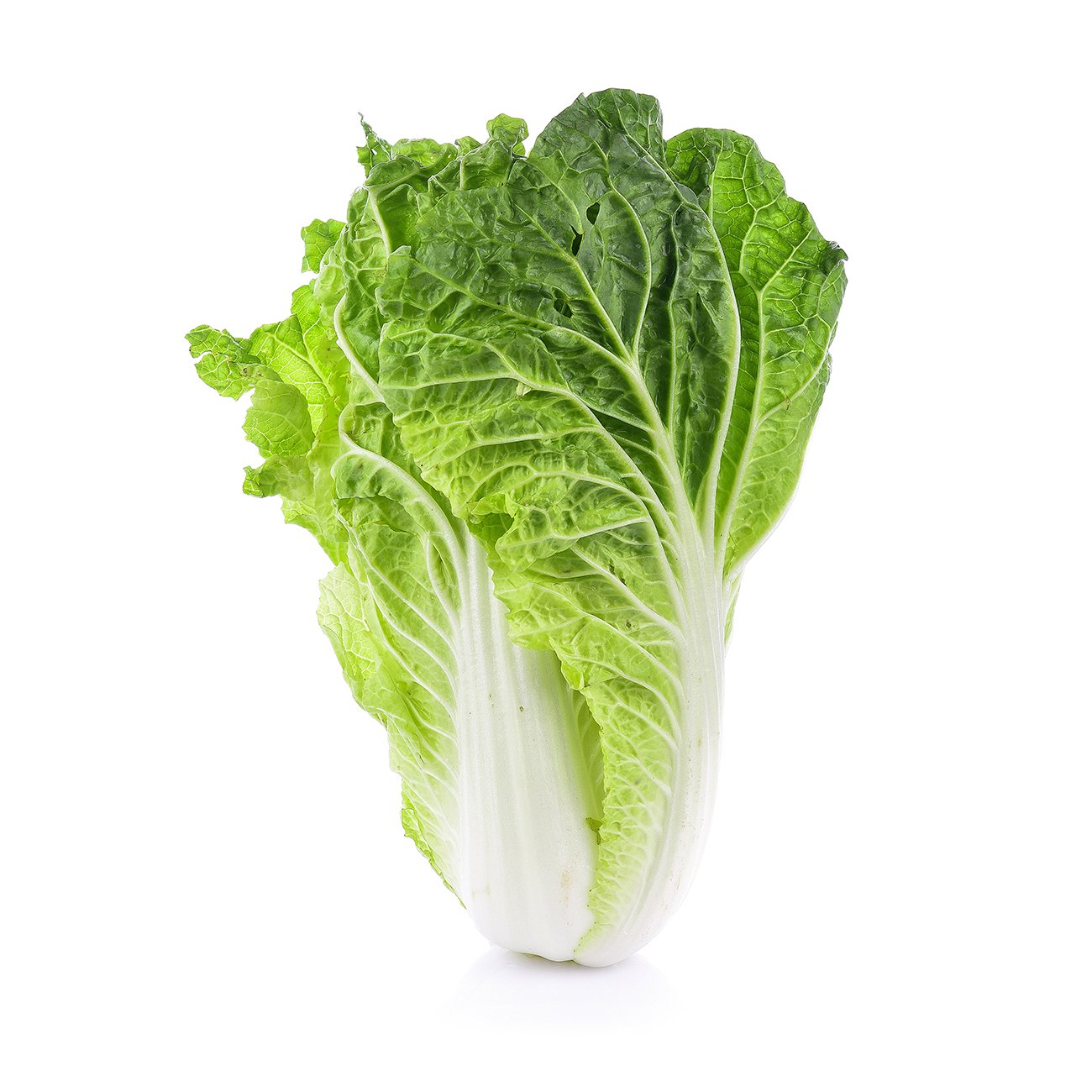 cabbage,-chinese.jpg