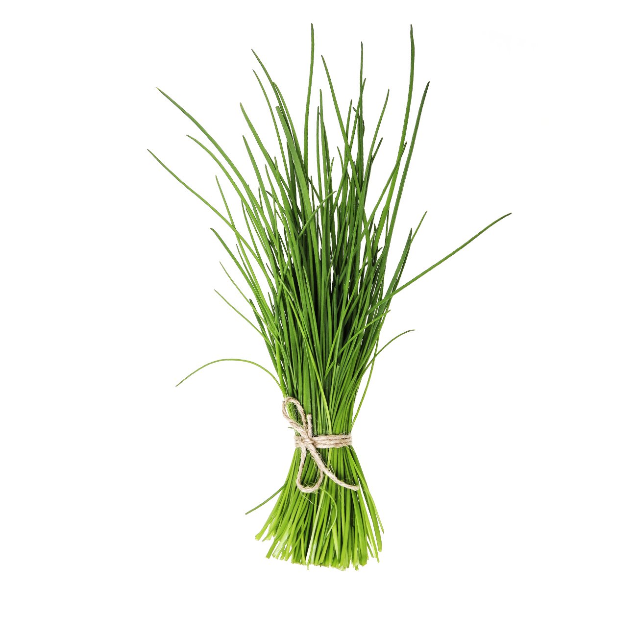 chives.jpg