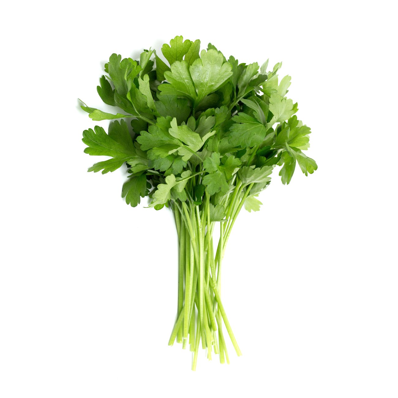 Parsley, continental