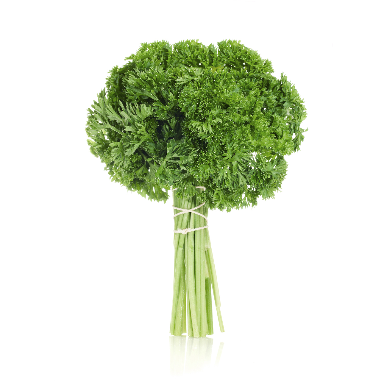 parsley,-curly.jpg