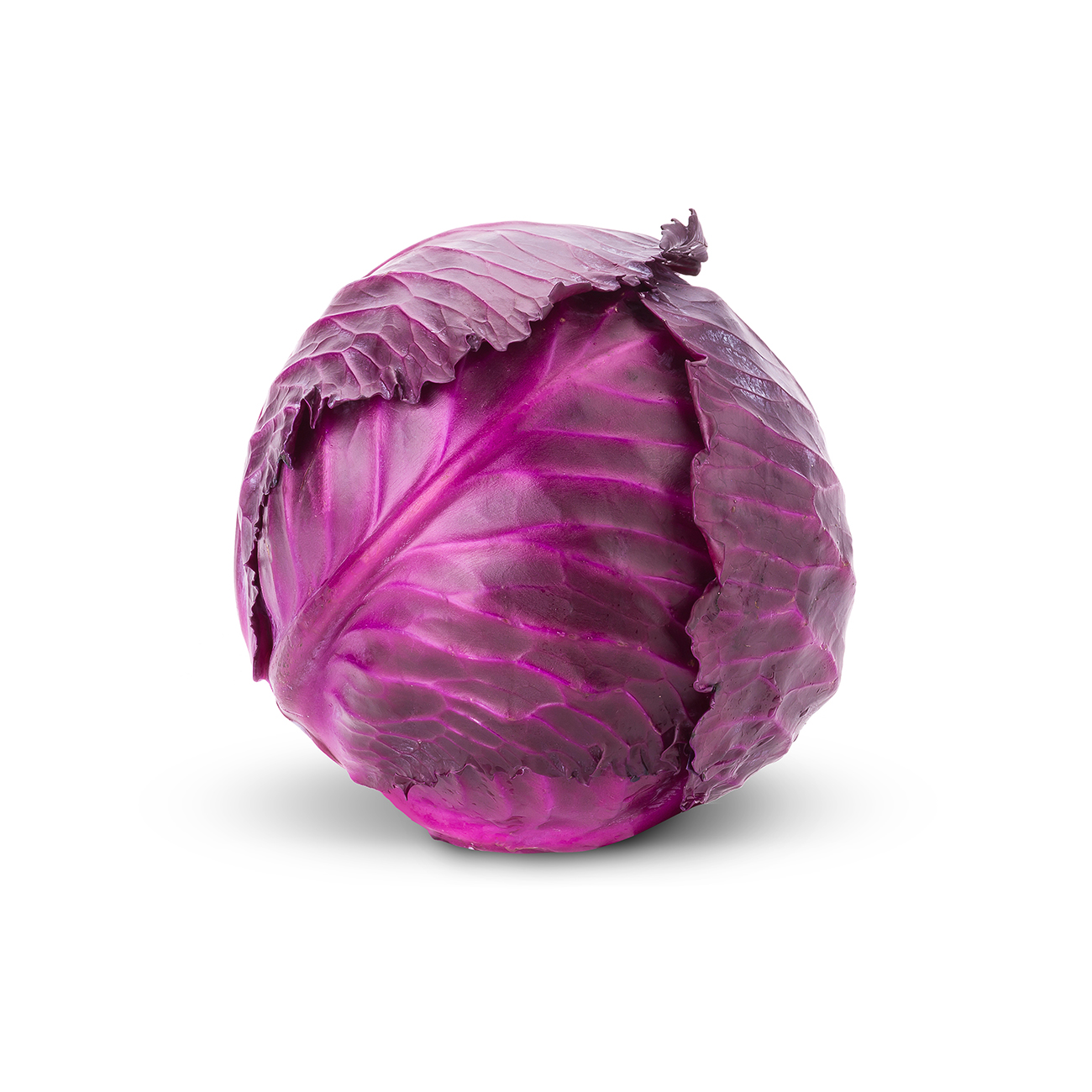 Cabbage, red