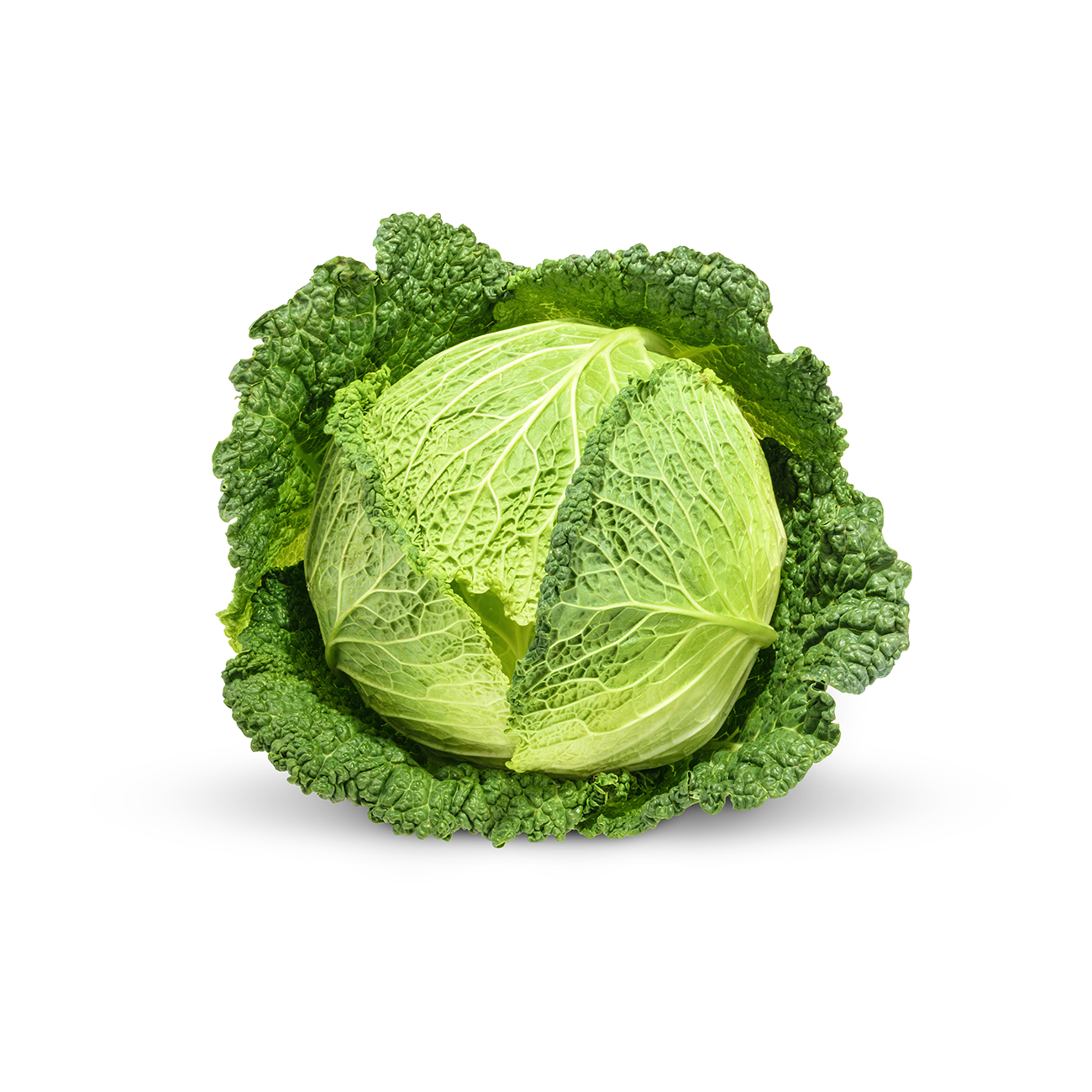 Cabbage, Savoy