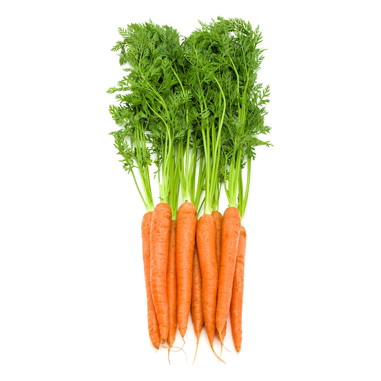 Carrots