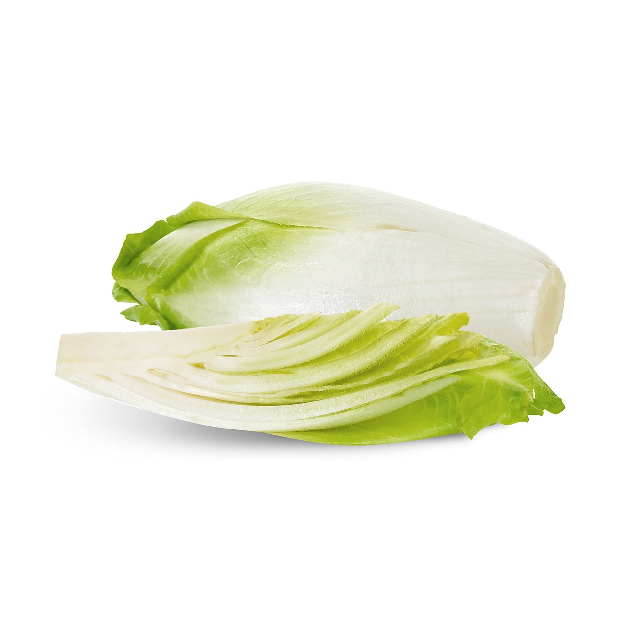 chicory.jpg