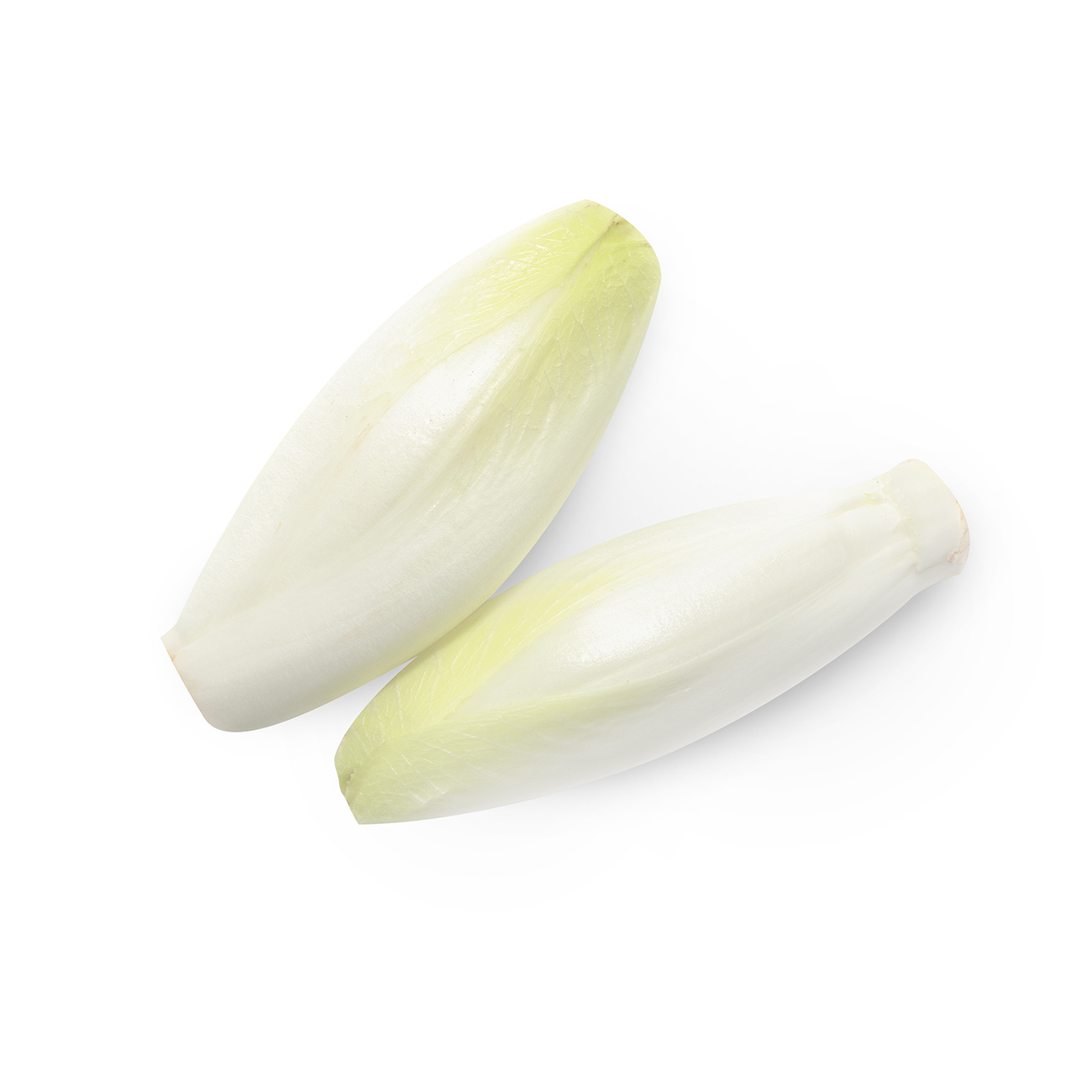 endive.jpg