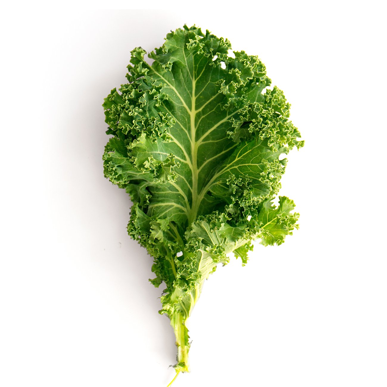 Kale vegetable