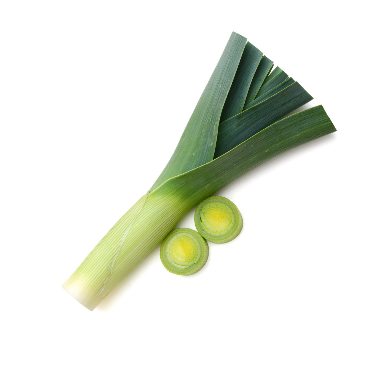 Leek