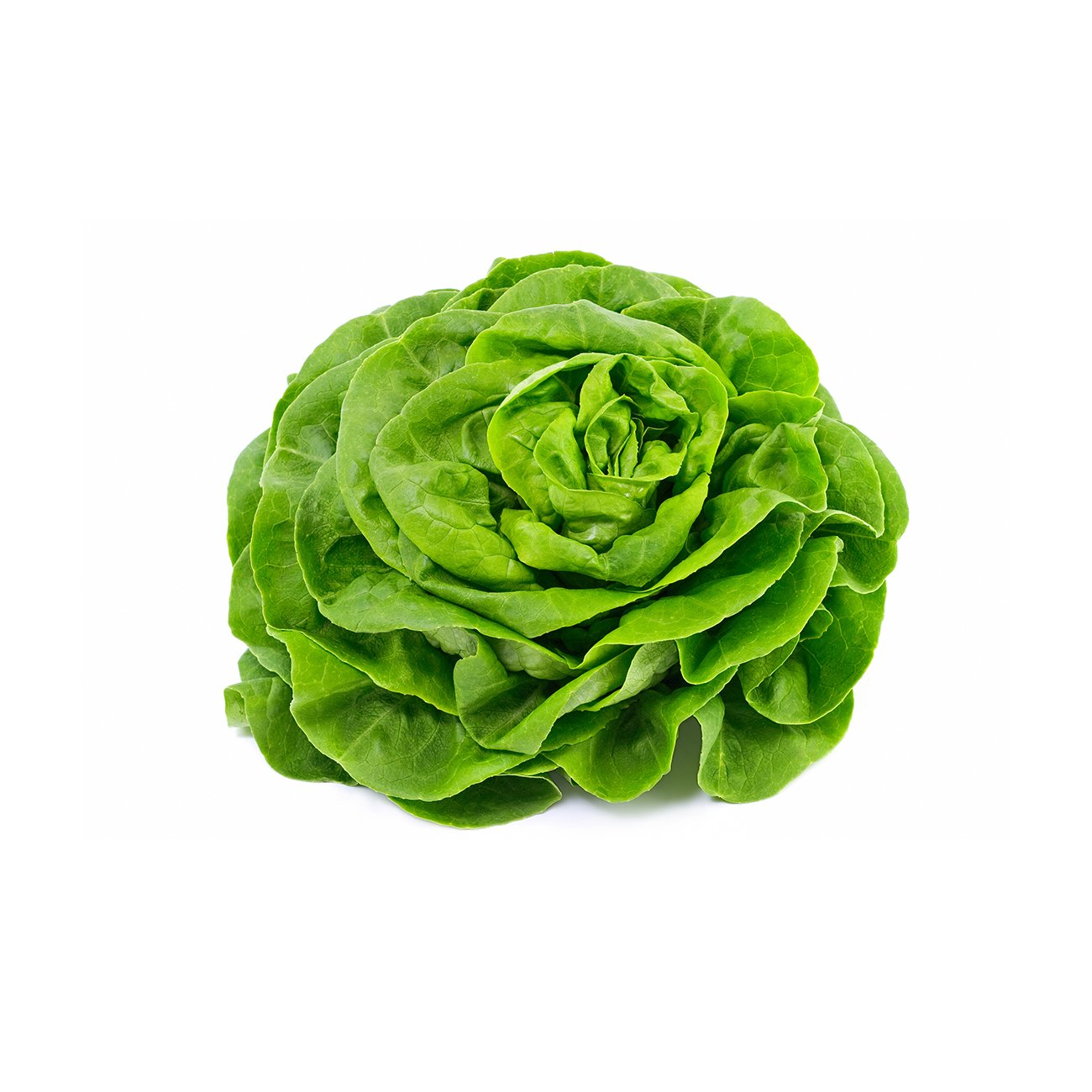 Lettuce