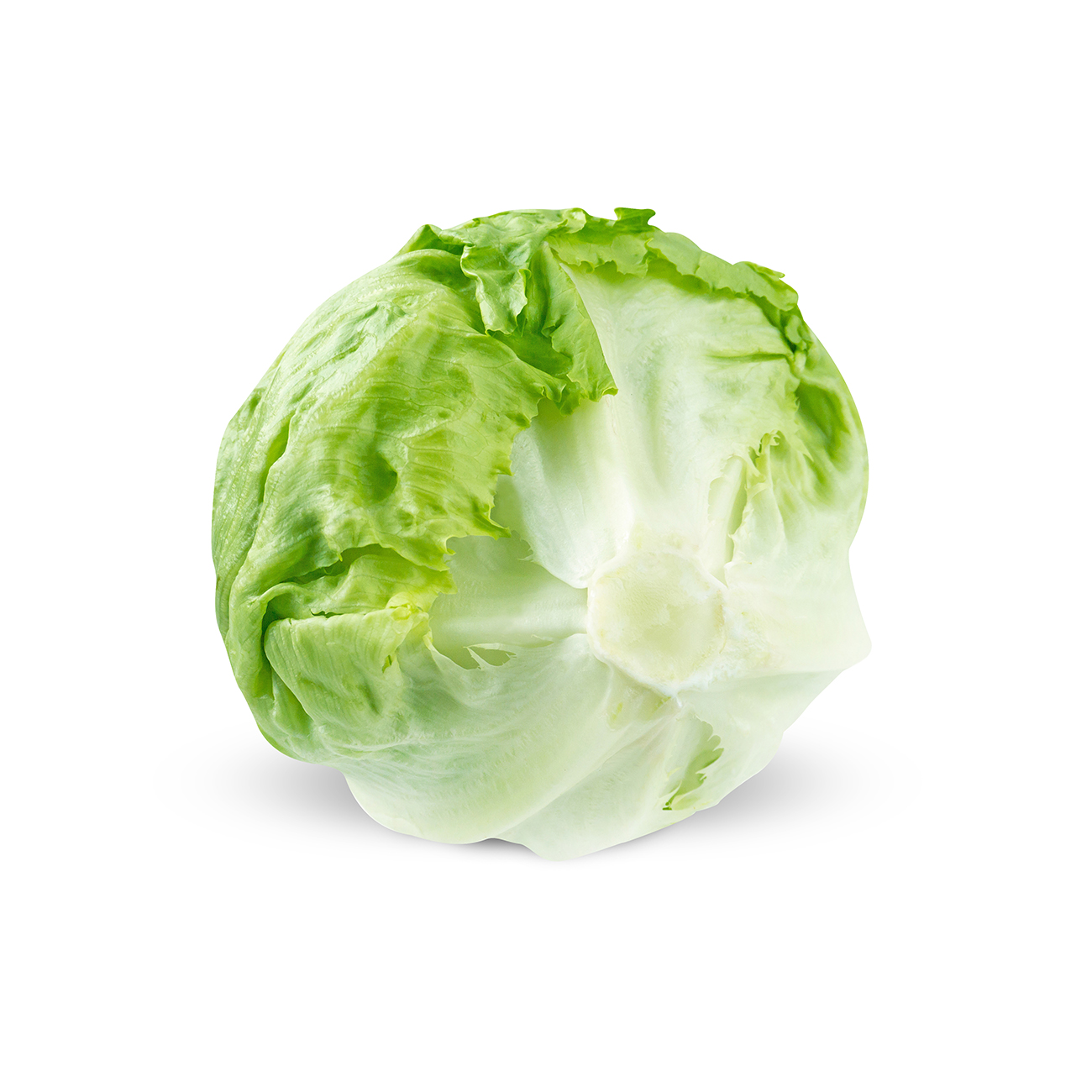 lettuce,-iceberg.jpg
