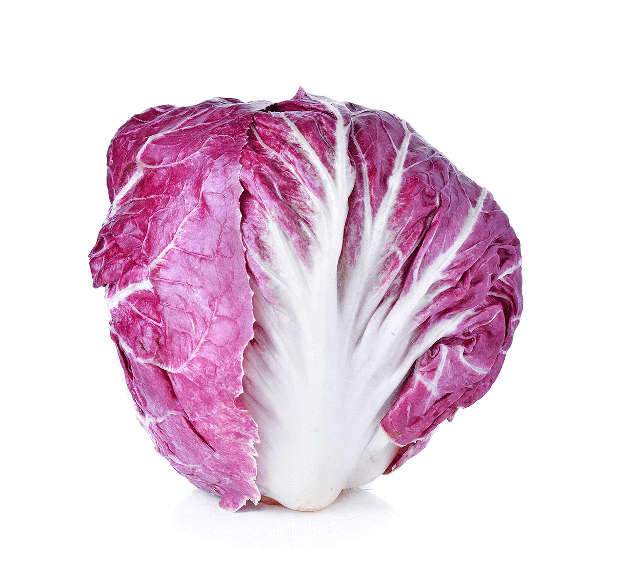 Radicchio.gif