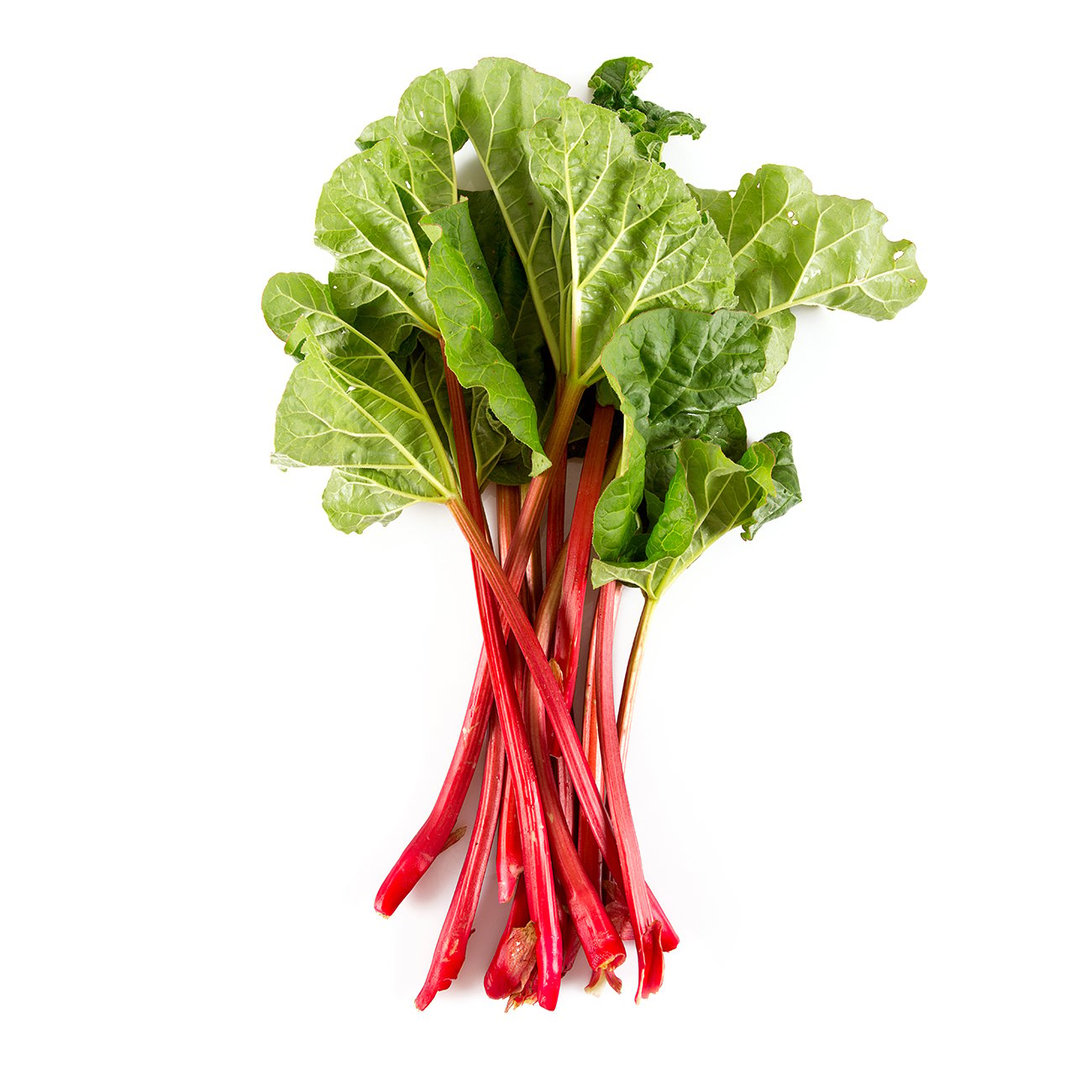 rhubarb.jpg