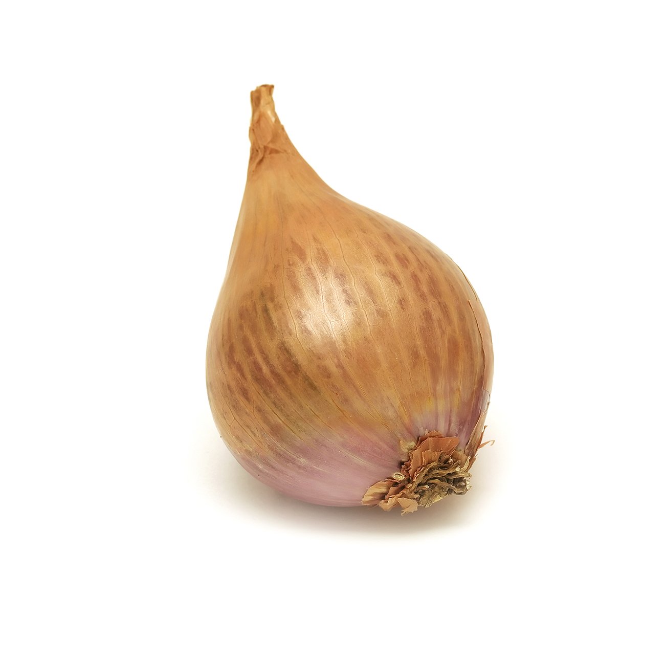 Shallots