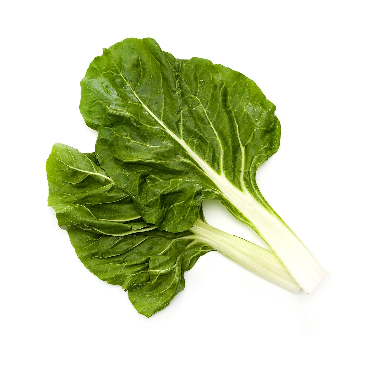 Silverbeet